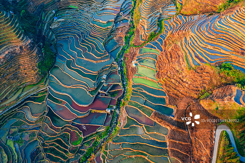 云南省红河州绿春县腊姑梯田图片素材