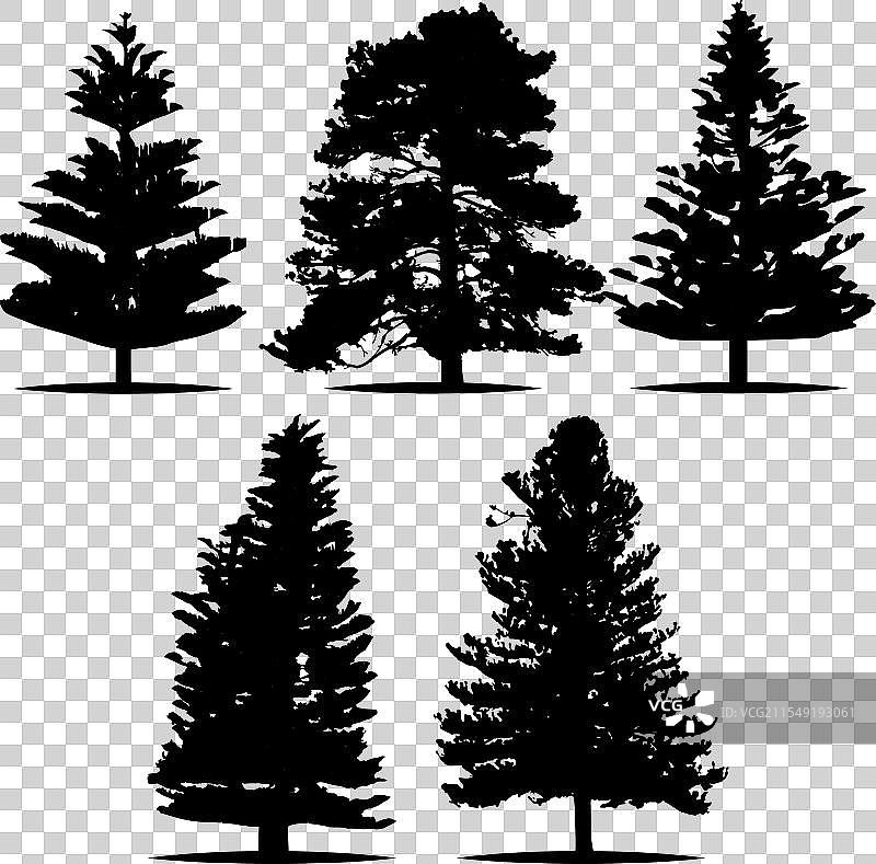 一组松树剪影图片素材