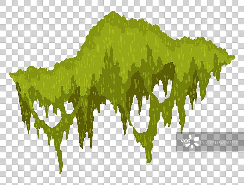 卡通丛林苔藓形状的绿色沼泽苔藓图片素材