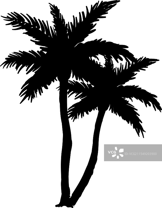 热带植物剪影 热带棕榈叶图片素材