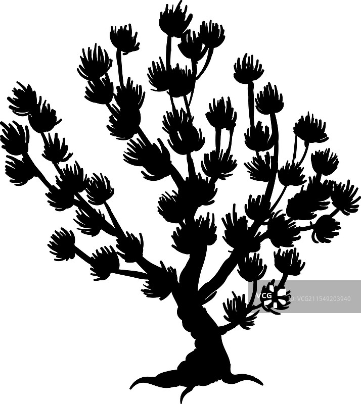 热带植物剪影 热带棕榈叶图片素材