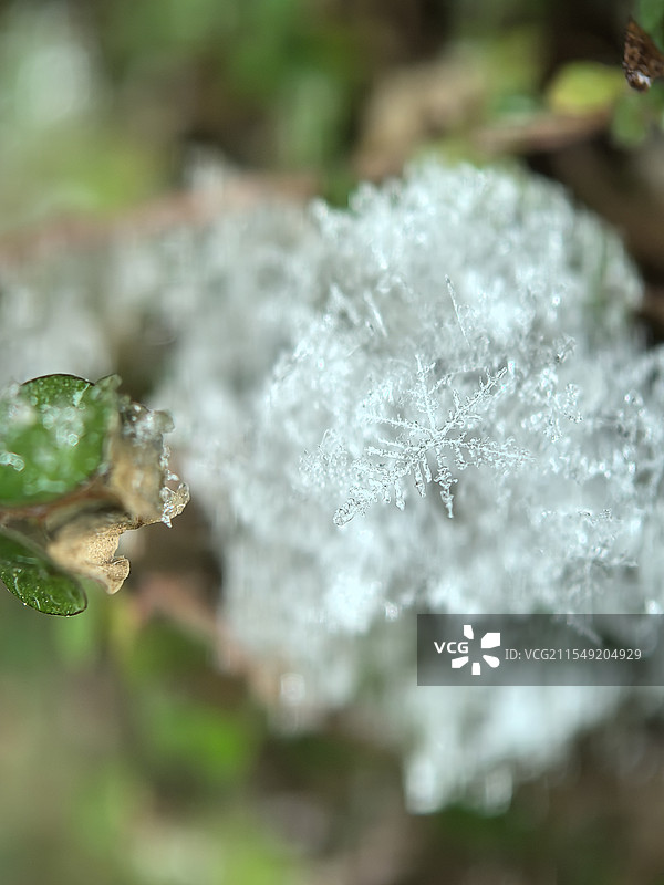 雪花图片素材