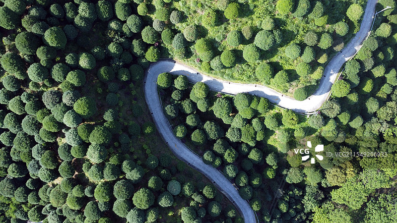 桂林之花观景台道路图片素材