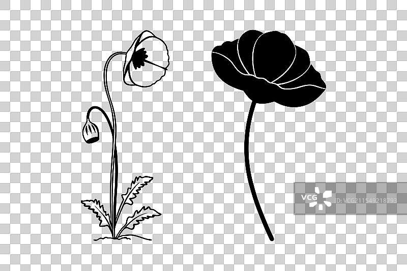 简单的罂粟花图标图片素材