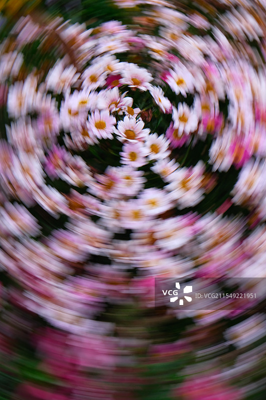 广州云台花园图片素材