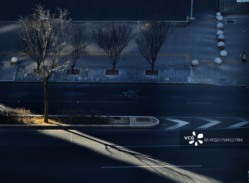 一缕阳光 一树婆娑图片素材