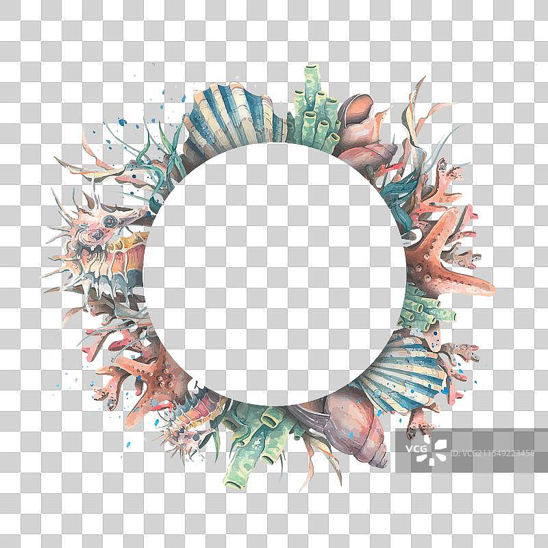 圆形框架，内含海贝、海马、海星等元素图片素材