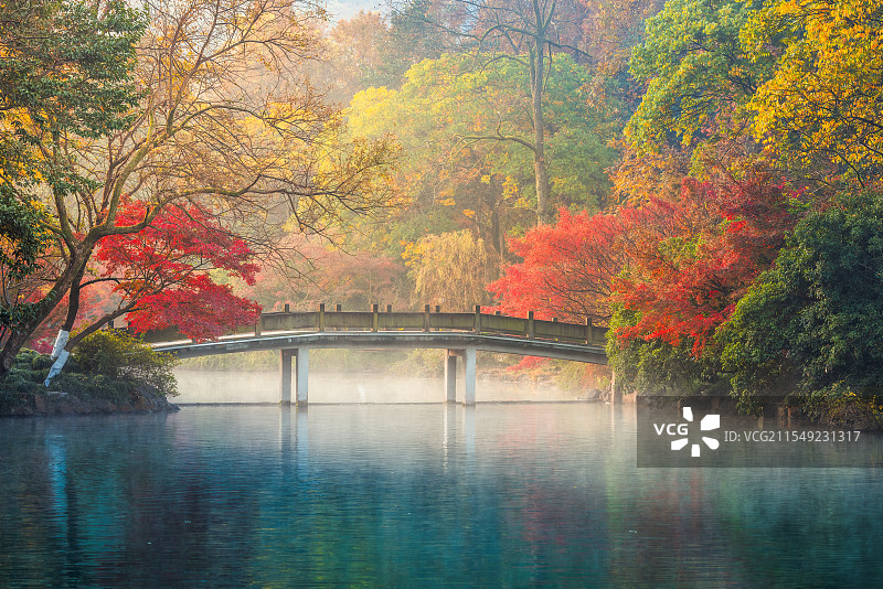 秋天的层次之美--杭州西湖风景名胜区花港观鱼景区图片素材