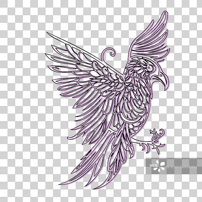 华丽的线条艺术乌鸦展翅飞翔图片素材