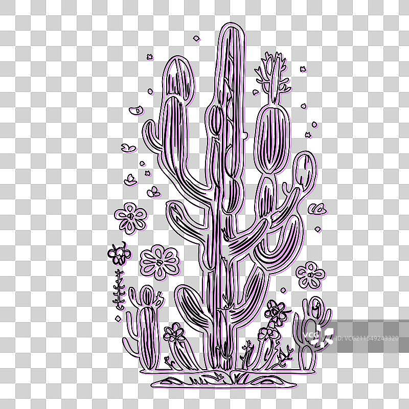 线条艺术仙人掌与沙漠花朵图片素材