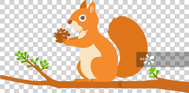 松鼠在森林中觅食树枝的哺乳动物图片素材