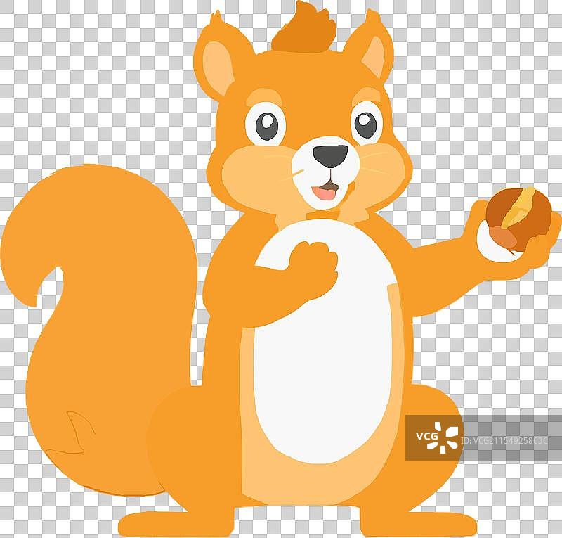 森林中的松鼠动物巢穴毛发图片素材