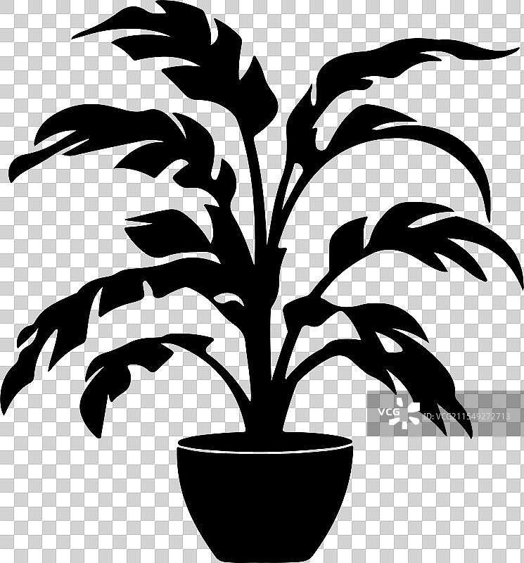 一个极简风格的装饰性室内植物图片素材