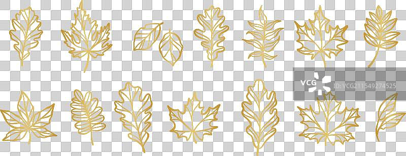 秋天的金色树叶线条艺术精致的叶片图片素材