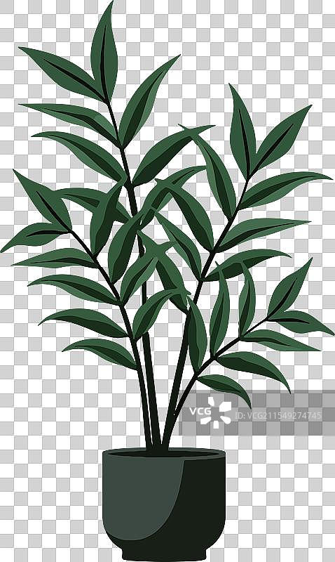 现代盆栽植物设计，适合时尚家居装饰图片素材