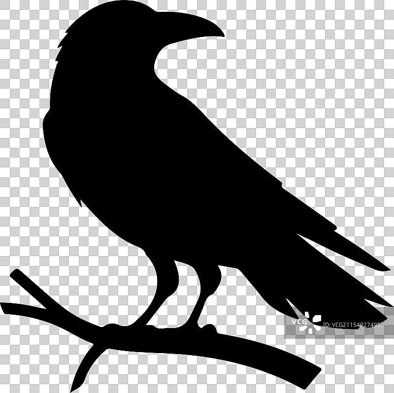 乌鸦剪影艺术图片素材