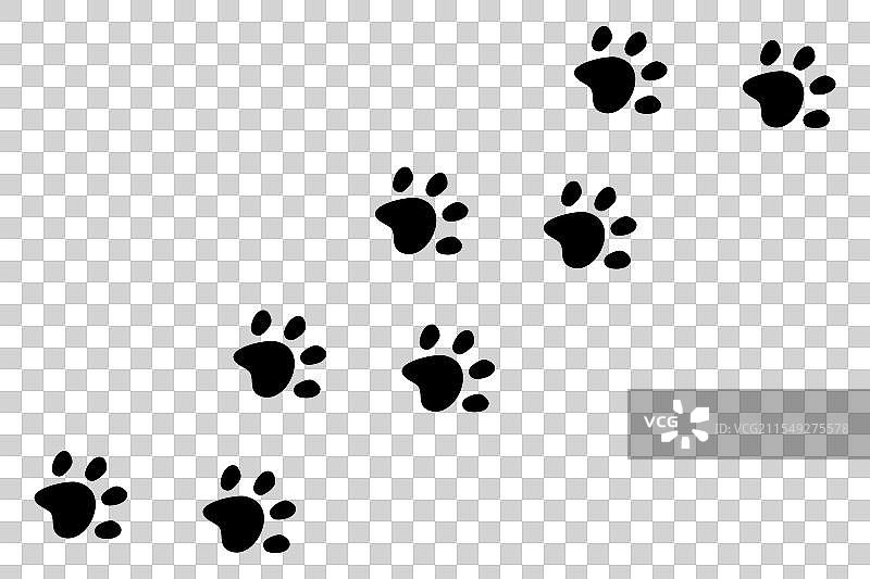 宠物爪印，狗或猫的足迹边框图片素材