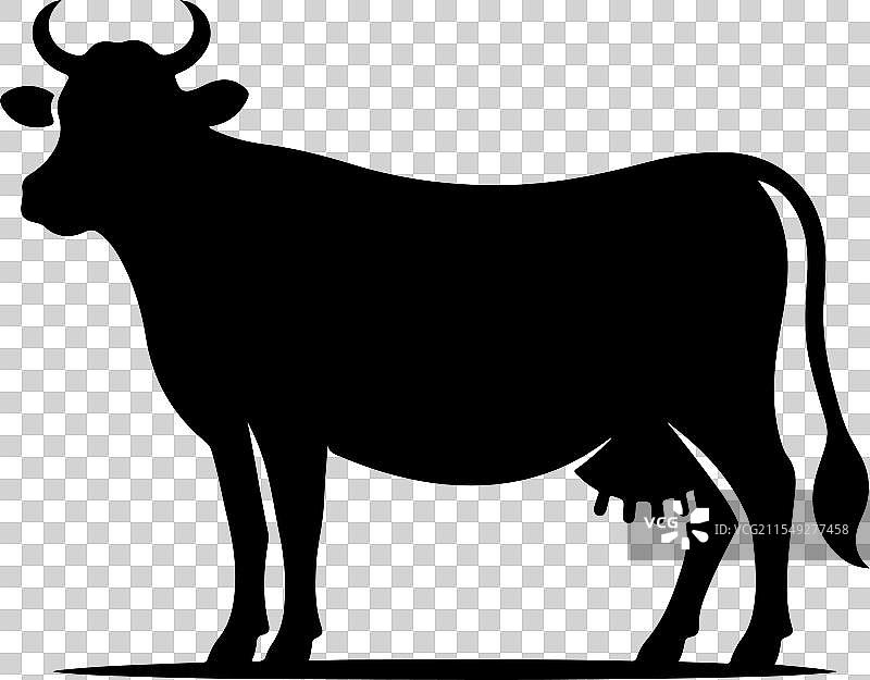 激励人心的奶牛剪影设计，展现自然之美图片素材