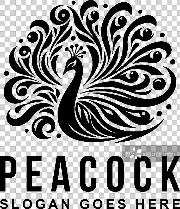 孔雀标志设计模板 孔雀头标志图片素材