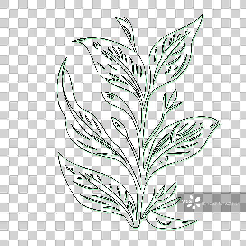 茶树枝叶的线条艺术图片素材