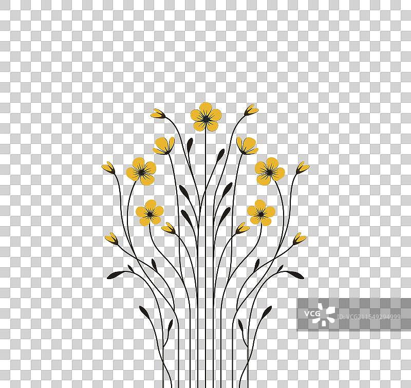 平原上盛开的美丽花朵景观图片素材