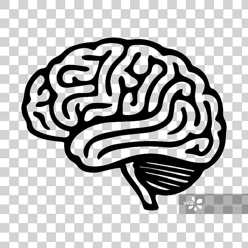大脑线条图标图片素材
