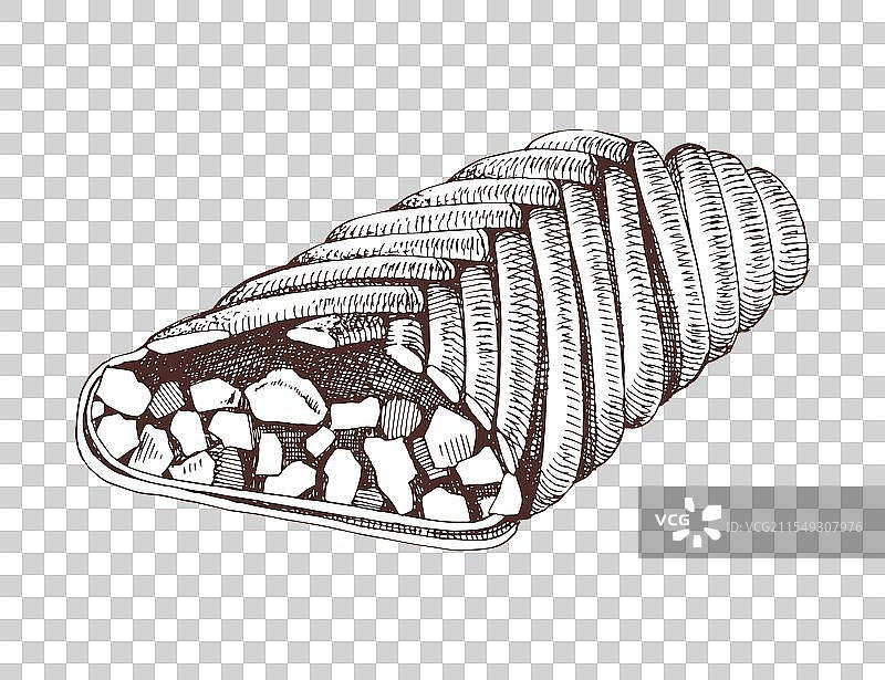 手绘苹果卷糕点图片素材