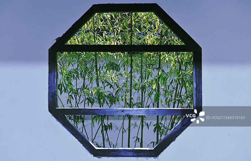 天津市河北区问津园竹林图片素材