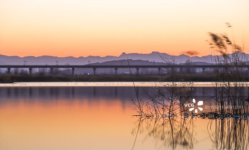 冬季水中的枯草图片素材