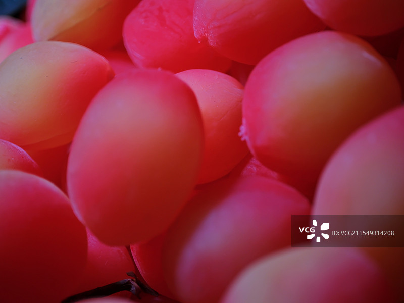 小红果图片素材