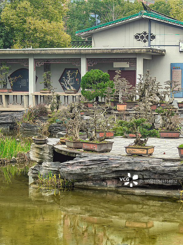 都市园林景观小桥流水竹林绿树风光图片素材