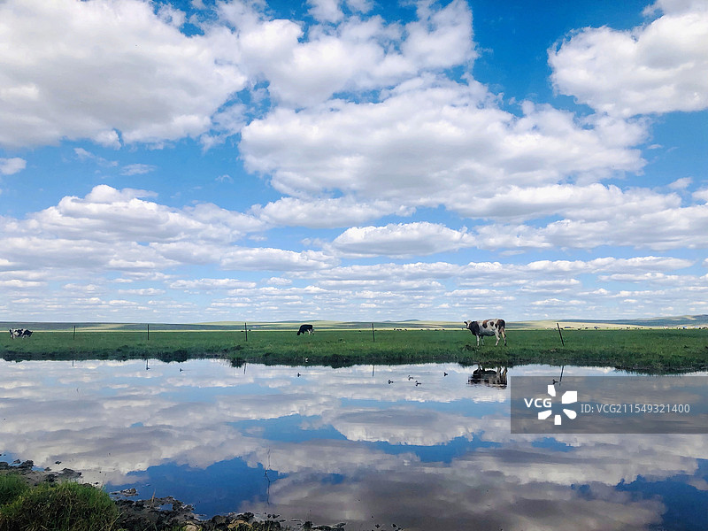呼伦贝尔大草原风光图片素材