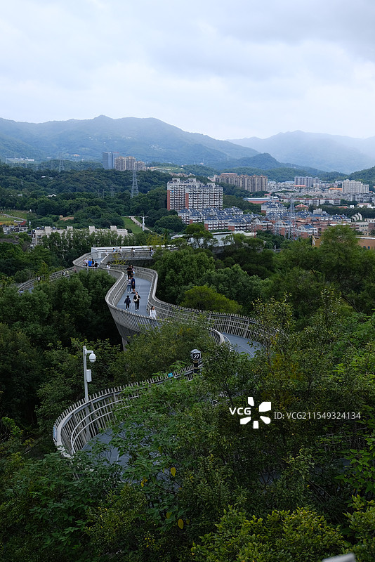 福建福州福道城市森林步道 空中步道 中近景图片素材