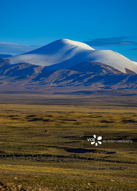 玉珠峰脚下图片素材
