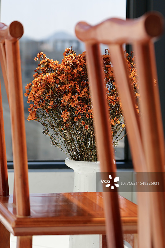 阳光下明媚绽放的橙色腊梅图片素材