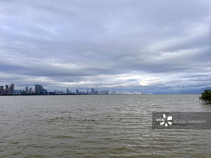 深圳湾公园图片素材