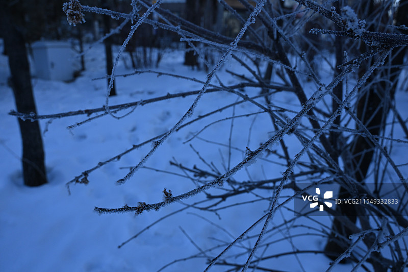 冬日的雾凇和冰挂图片素材