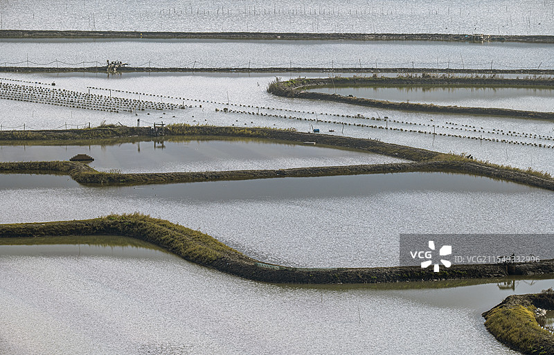 滩涂上的田园图片素材