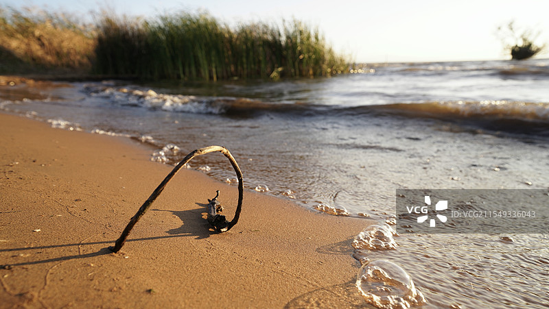 云南昆明滇池傍晚湖水气泡枯枝水草湖滩沙子图片素材