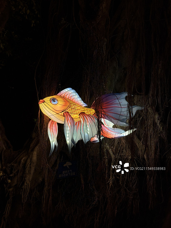 2025越秀公园灯会-鱼图片素材