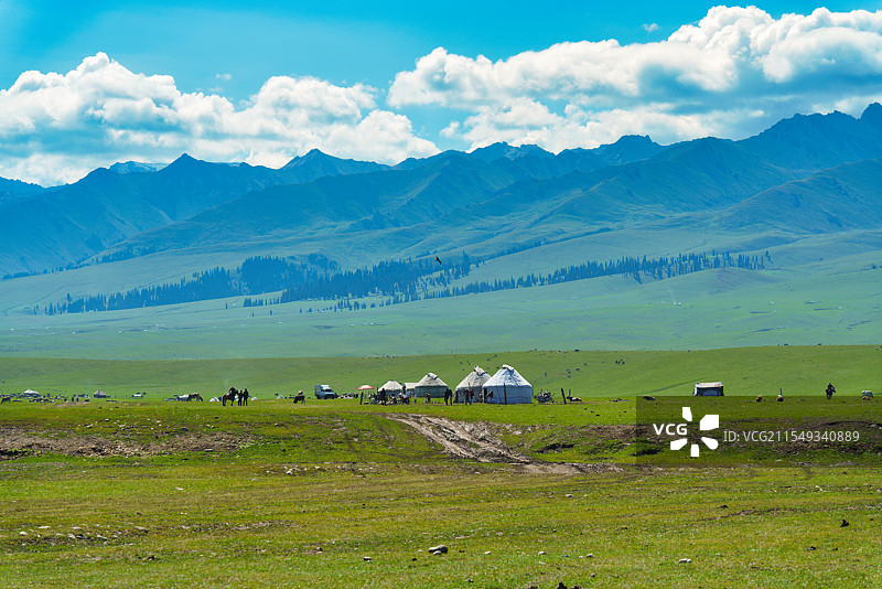 那拉提草原上的宁静时光图片素材