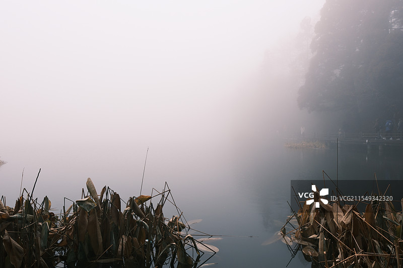 庐山如琴湖图片素材