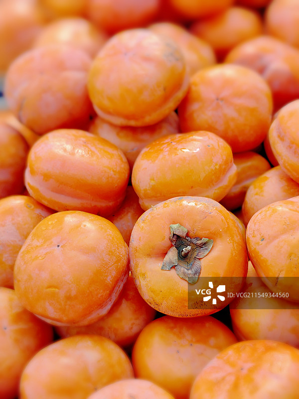 东北冻柿子图片素材