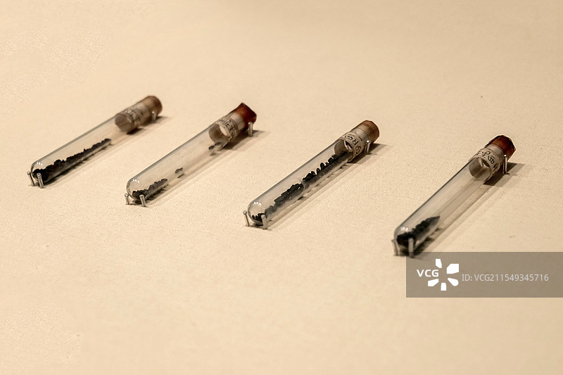 炭化稻 新石器时代龙山文化 滕州庄里西遗址出土 山东省文物考古研究院藏图片素材