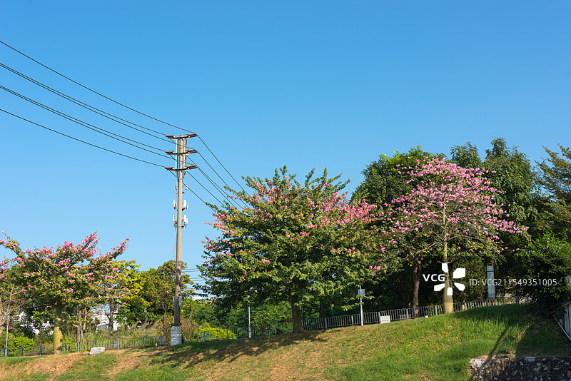深圳光明区城市户外茅洲河自然风景图片素材