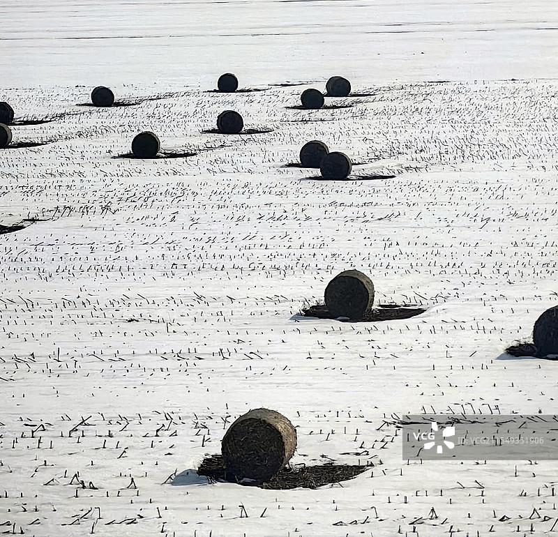 雪原稻草图片素材