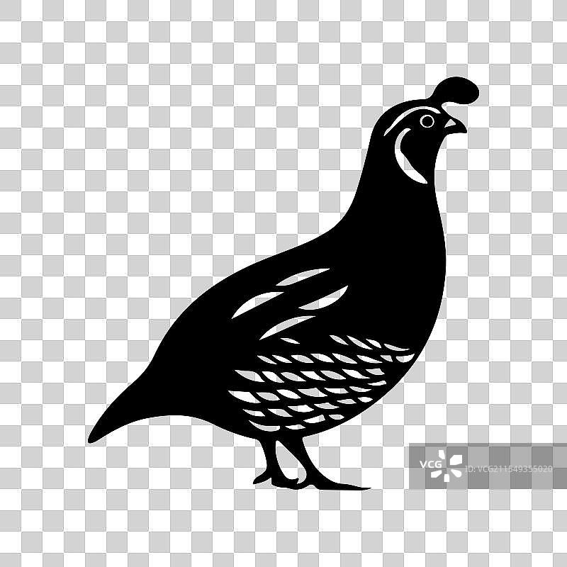 独特的逼真鹌鹑剪影艺术图标图片素材