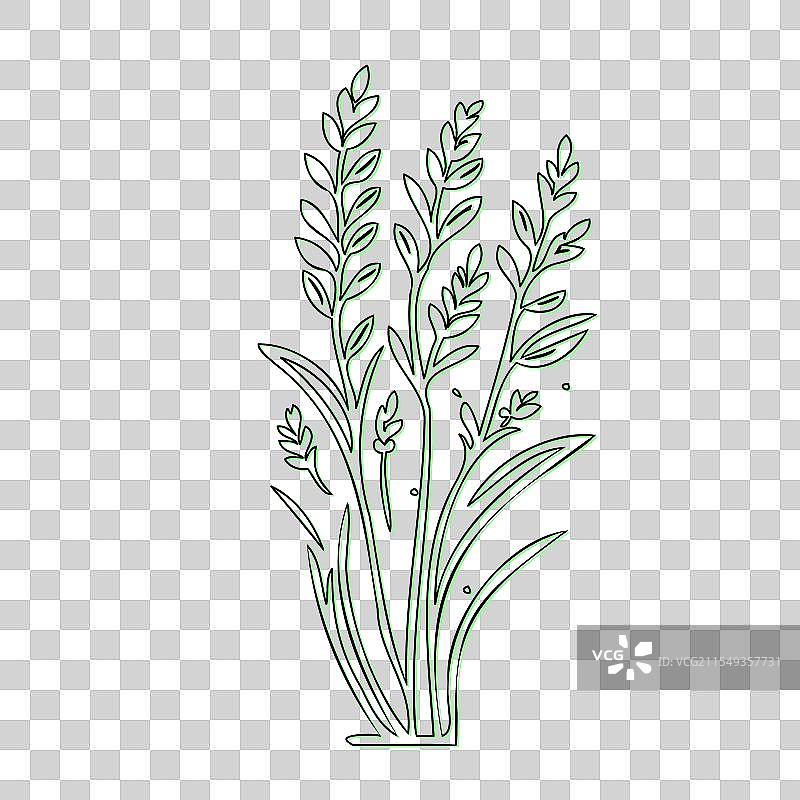 手绘的绿色草地和麦穗图片素材