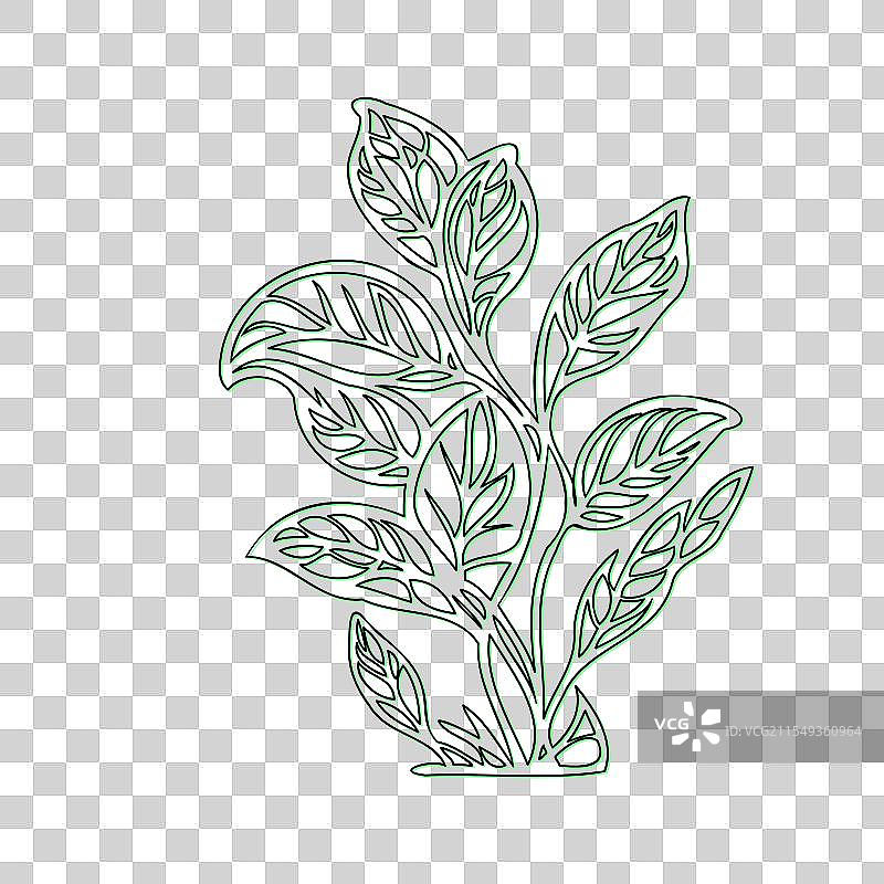 华丽的手绘植物图案，带有绿色元素图片素材