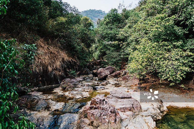 广州增城白江湖森林公园图片素材